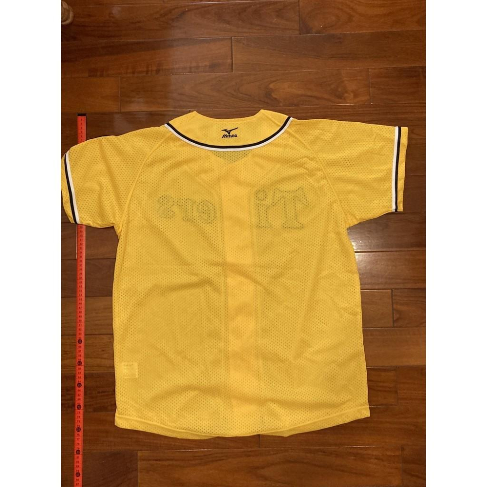 MIZUNO 阪神虎 全電繡 2006 會員特典 應援球衣 (罩衫 職棒 日本 NPB 棒球 兄弟 美津濃 刺繡)-細節圖5