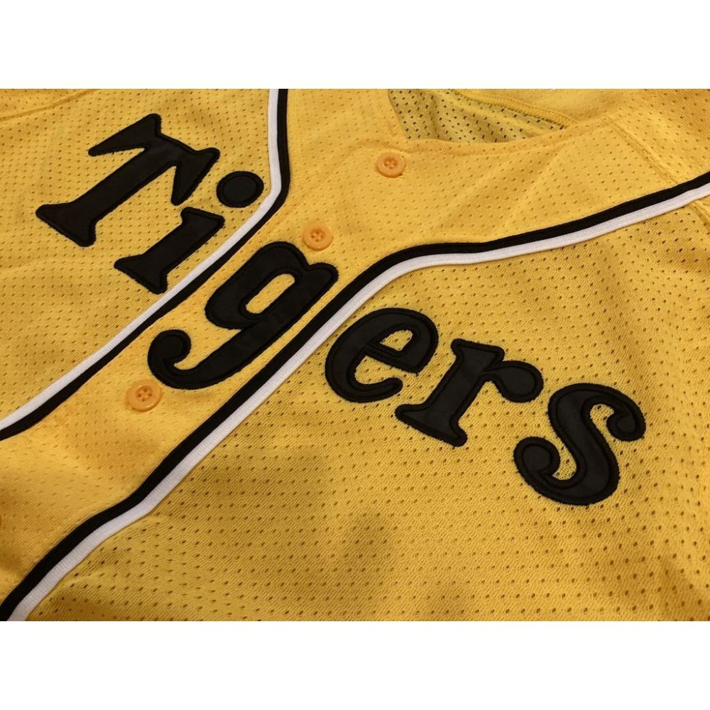 MIZUNO 阪神虎 全電繡 2006 會員特典 應援球衣 (罩衫 職棒 日本 NPB 棒球 兄弟 美津濃 刺繡)-細節圖6