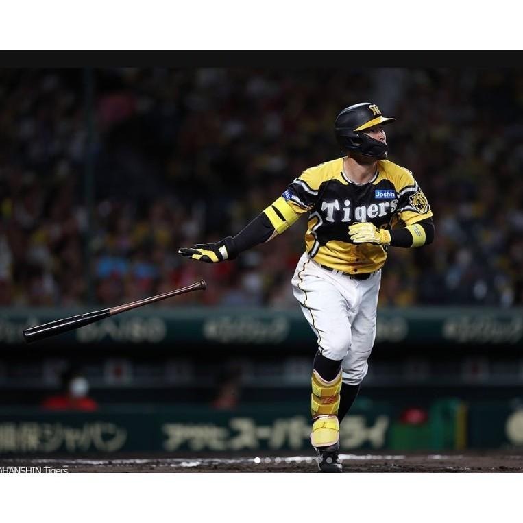 Mizuno 日本職棒 阪神虎 2023 虎之夏 主題球衣 (罩衫 日職 NPB 棒球 壘球 棒壘 應援 美津濃)-細節圖2