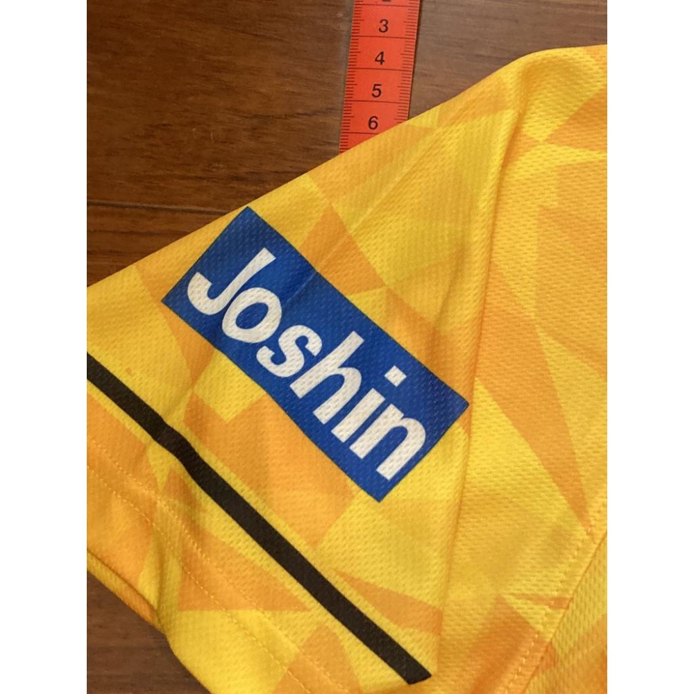 日本職棒 阪神虎 2020 虎之夏 85周年 主題球衣 (罩衫 日職 NPB 棒球 壘球 棒壘 應援)-細節圖5