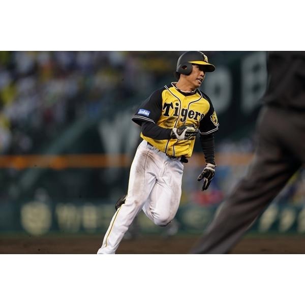 日本職棒 阪神虎 2016 虎之夏 應援球衣 (罩衫 日職 NPB 棒球 壘球 棒壘 中信兄弟)-細節圖2