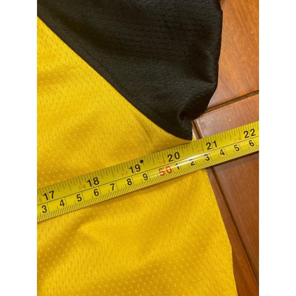 日本職棒 阪神虎 2016 虎之夏 應援球衣 (罩衫 日職 NPB 棒球 壘球 棒壘 中信兄弟)-細節圖6