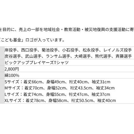 日本職棒 西武獅 2014 兒童基金會慈善 球員背號 棉質上衣 M (球衣 NPB 棒球 棒壘 短t)-細節圖8