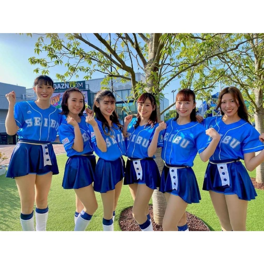 日本職棒 西武獅 2022 復古藍 客場 應援球衣 S、L (罩衫 日職 NPB 琦玉 棒球 棒壘 小尺寸 黃金期)-細節圖7