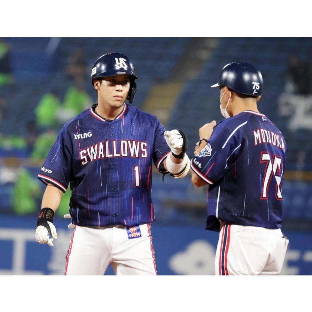 日本職棒 養樂多燕子 2020會員日 CREW DAY 應援球衣 (罩衫 球迷 NPB 東京 棒球 壘球 棒壘 小尺寸)-細節圖2