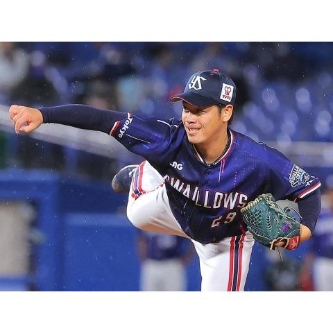 日本職棒 養樂多燕子 2020會員日 CREW DAY 應援球衣 (罩衫 球迷 NPB 東京 棒球 壘球 棒壘 小尺寸)-細節圖3