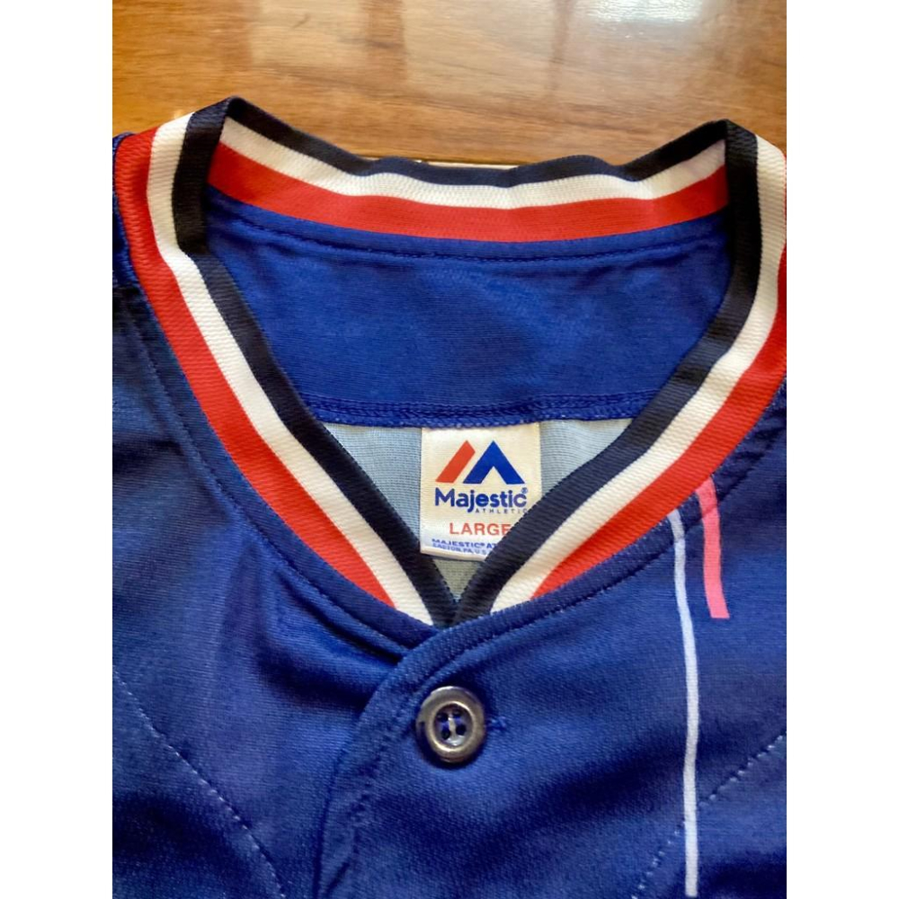 日本職棒 養樂多燕子 2020會員日 CREW DAY 應援球衣 (罩衫 球迷 NPB 東京 棒球 壘球 棒壘 小尺寸)-細節圖6