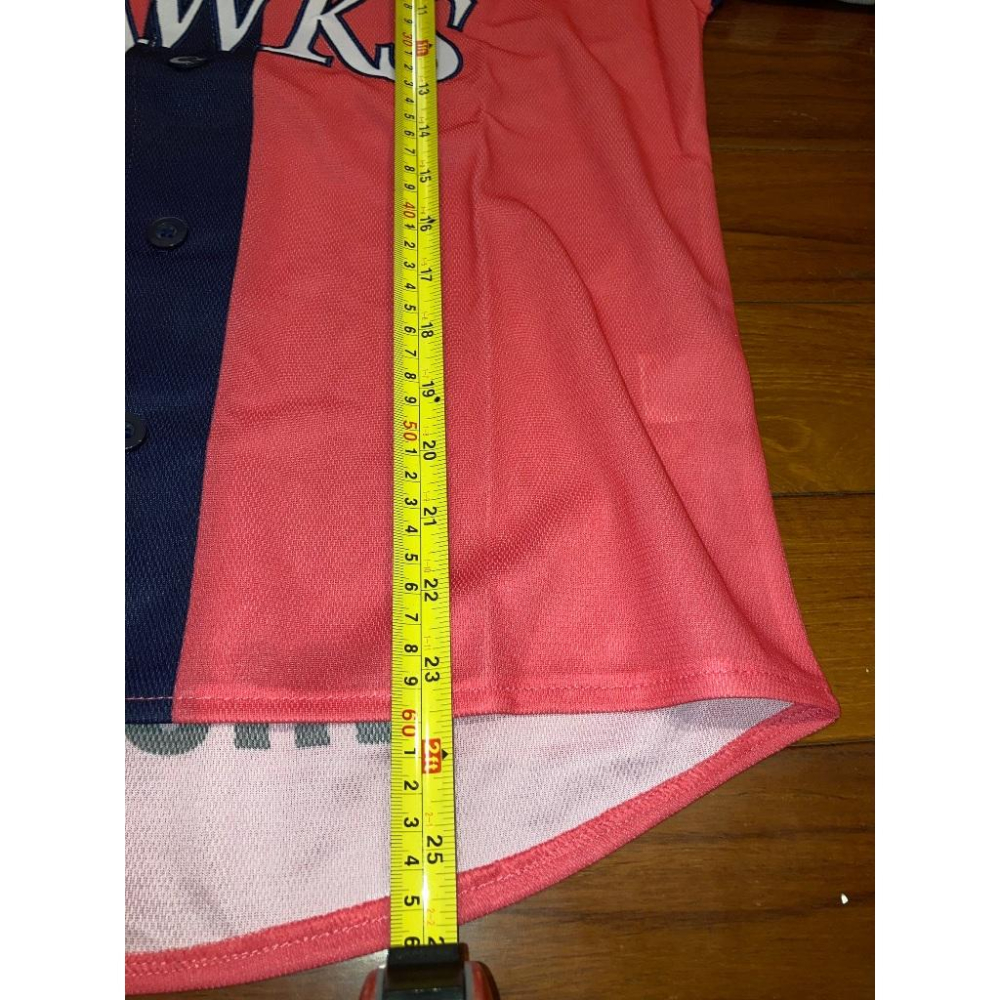 全新 日本職棒 軟銀鷹 電繡 2013 女子高中生日 女孩球衣 女版L (高校生 罩衫 日職 NPB 棒球 棒壘 刺繡)-細節圖6