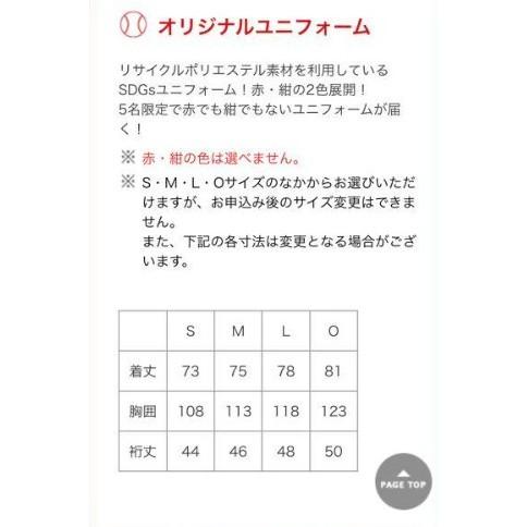 全新未拆 日本職棒 廣島鯉魚 2022格紋 紅色 會員限定 應援球衣 XL (罩衫 NPB 棒球 壘球 棒壘 東洋)-細節圖6