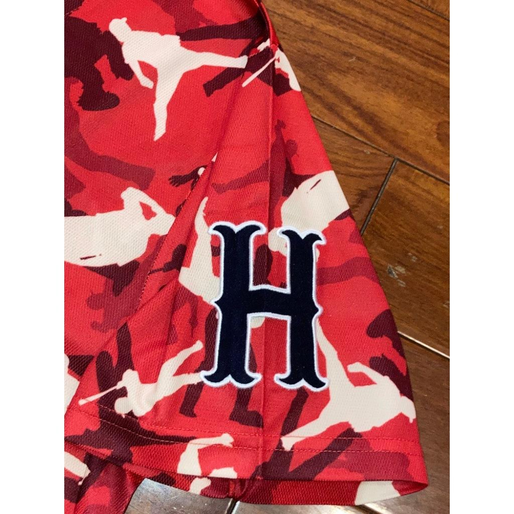 全新未拆 日本職棒 廣島鯉魚 刺繡 2015 會員限定 應援球衣 L (罩衫 NPB 棒球 壘球 棒壘 東洋 電繡)-細節圖4