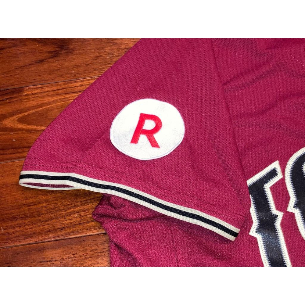 全電繡 高級款 日本職棒 東北樂天金鷲 2017 FANS＇ 應援球衣 L(罩衫 日職 NPB 棒球 刺繡 TOHOKU-細節圖6