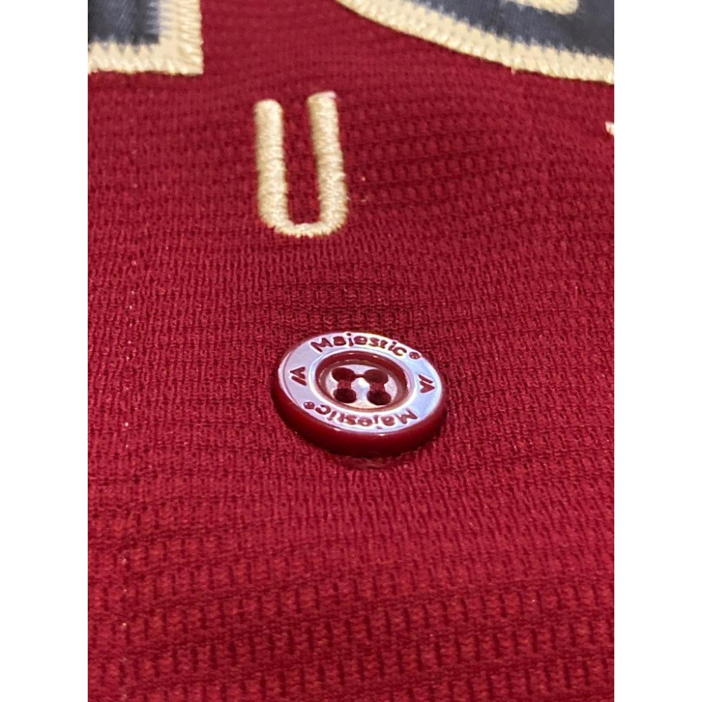 全電繡 高級款 日本職棒 東北樂天金鷲 2017 FANS＇ 應援球衣 L(罩衫 日職 NPB 棒球 刺繡 TOHOKU-細節圖7