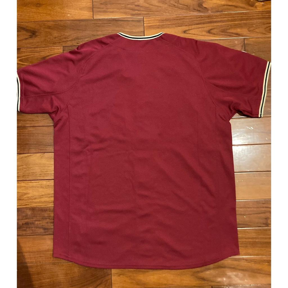 全電繡 高級款 日本職棒 東北樂天金鷲 2017 FANS＇ 應援球衣 L(罩衫 日職 NPB 棒球 刺繡 TOHOKU-細節圖8