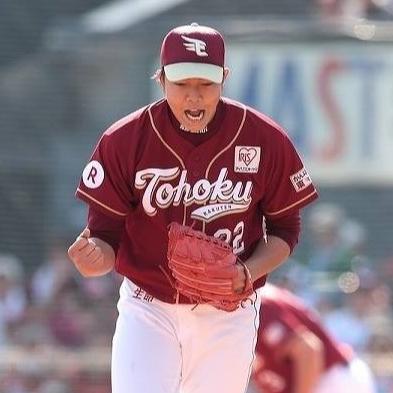 全電繡 高階款 日本職棒 樂天金鷲 2015 FANS 應援球衣 L (罩衫 NPB 棒球 棒壘 桃猿 東北 刺繡)-細節圖3