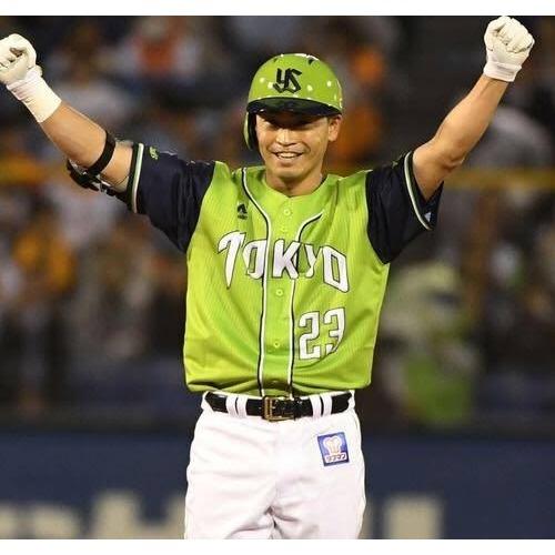 日本職棒 養樂多燕子 2018 東京燕動力 POWER 應援球衣 (罩衫 球迷 日職 NPB 東京 棒球 棒壘 燕パワー-細節圖4