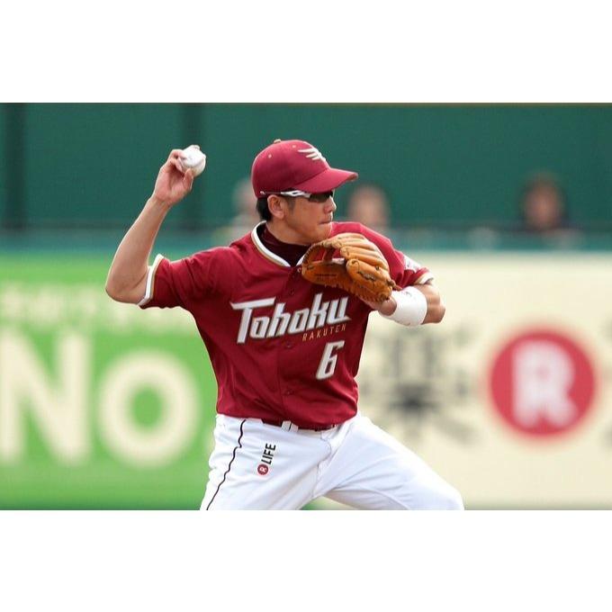 全新 日本職棒 東北樂天金鷲 2016 FANS＇ 主題日 應援球衣 M、L(罩衫 金鶯 日職 NPB 棒球 棒壘)-細節圖2