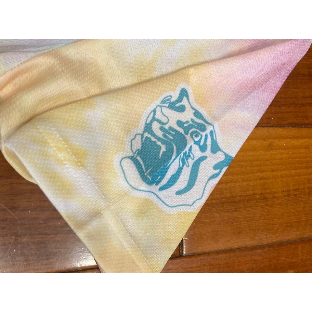 日本職棒 阪神虎 2020 TORACO 女孩日 應援球衣 (罩衫 日職 NPB 棒球 壘球 棒壘)-細節圖4