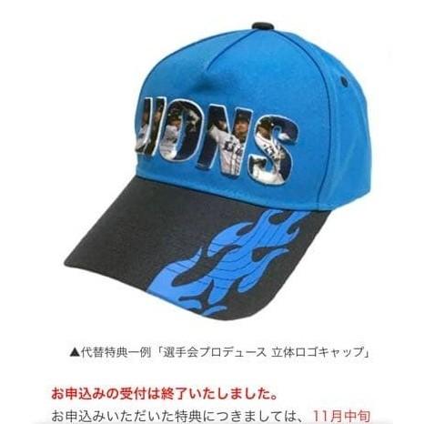 日本職棒 西武獅 2020 會員限定 球員工會製作 立體3D肖像 成人棒球帽 (NPB 帽子 可調式)-細節圖2