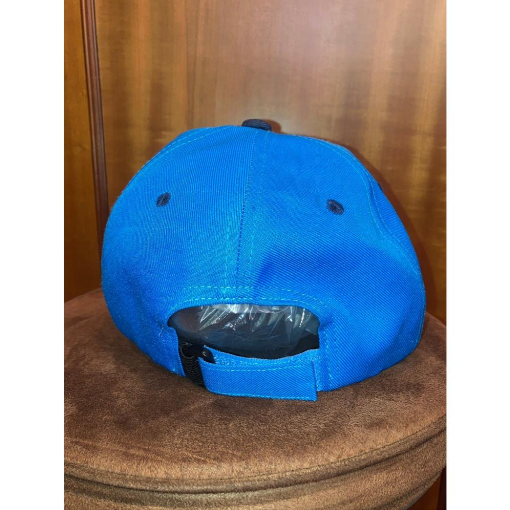 日本職棒 西武獅 2020 會員限定 球員工會製作 立體3D肖像 成人棒球帽 (NPB 帽子 可調式)-細節圖6