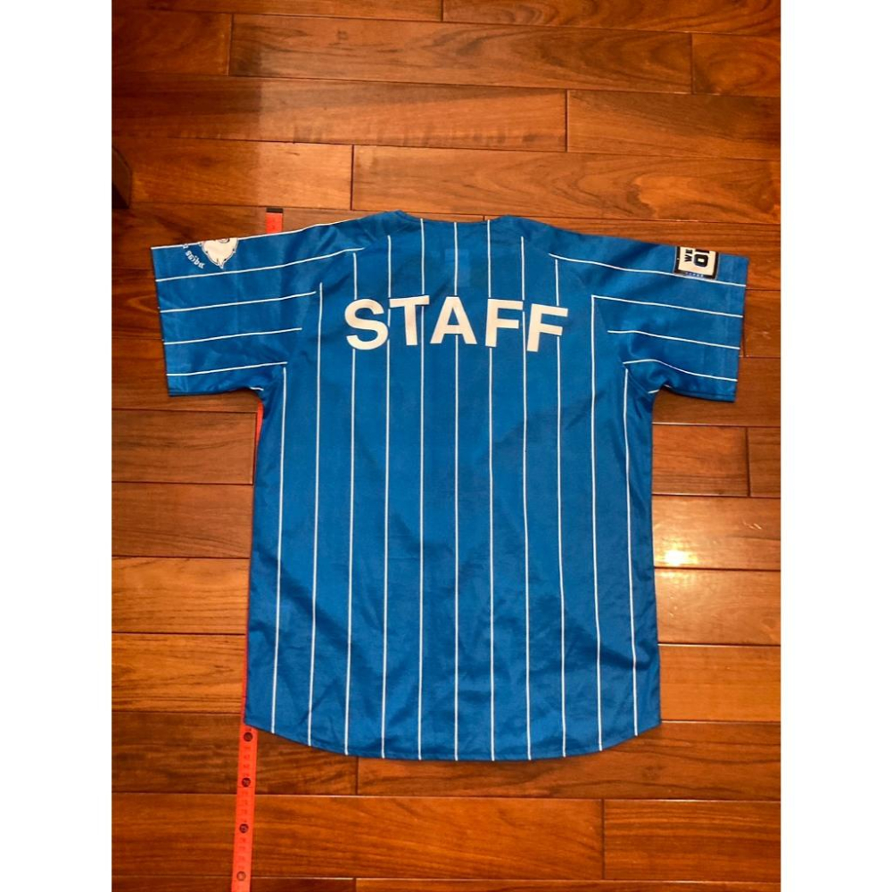 內部流出! 日本職棒 西武獅 2023 蒼空 工作人員 配給球衣 S (罩衫 NPB 棒球 棒壘 天藍 青色 小尺寸)-細節圖2