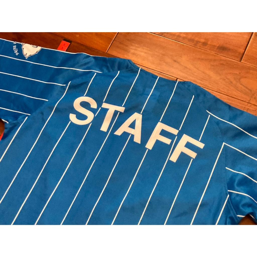 內部流出! 日本職棒 西武獅 2023 蒼空 工作人員 配給球衣 S (罩衫 NPB 棒球 棒壘 天藍 青色 小尺寸)-細節圖4