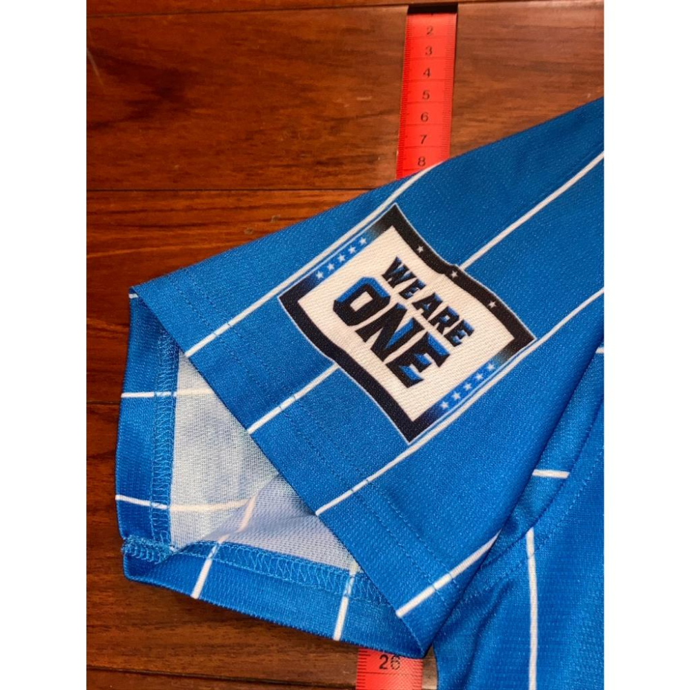 內部流出! 日本職棒 西武獅 2023 蒼空 工作人員 配給球衣 S (罩衫 NPB 棒球 棒壘 天藍 青色 小尺寸)-細節圖5