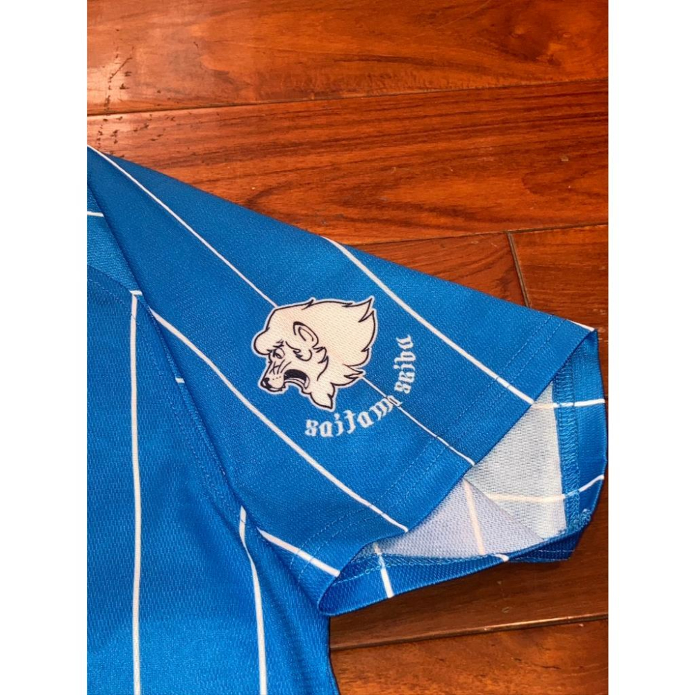 內部流出! 日本職棒 西武獅 2023 蒼空 工作人員 配給球衣 S (罩衫 NPB 棒球 棒壘 天藍 青色 小尺寸)-細節圖7