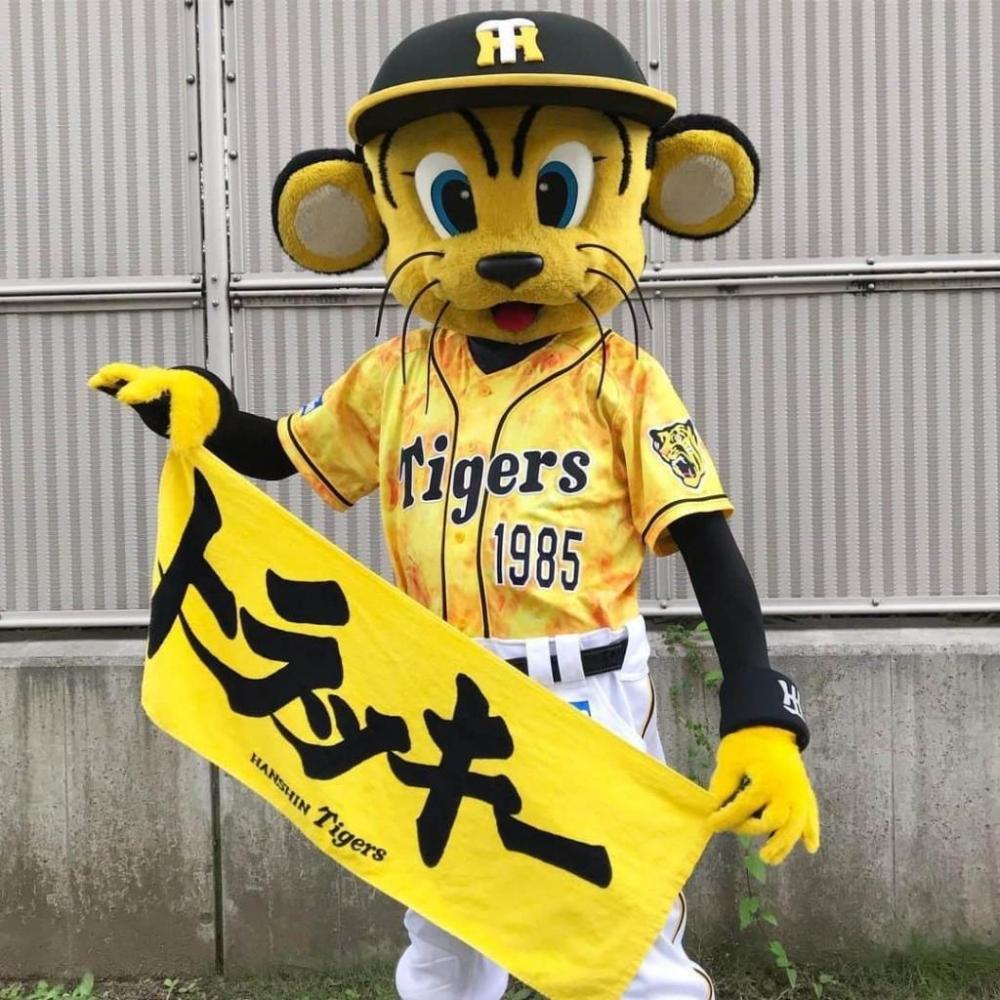 日本職棒 阪神虎 2019 虎之夏 火焰 應援球衣 M (罩衫 日職 NPB 棒球 壘球 棒壘 黃色)-細節圖4