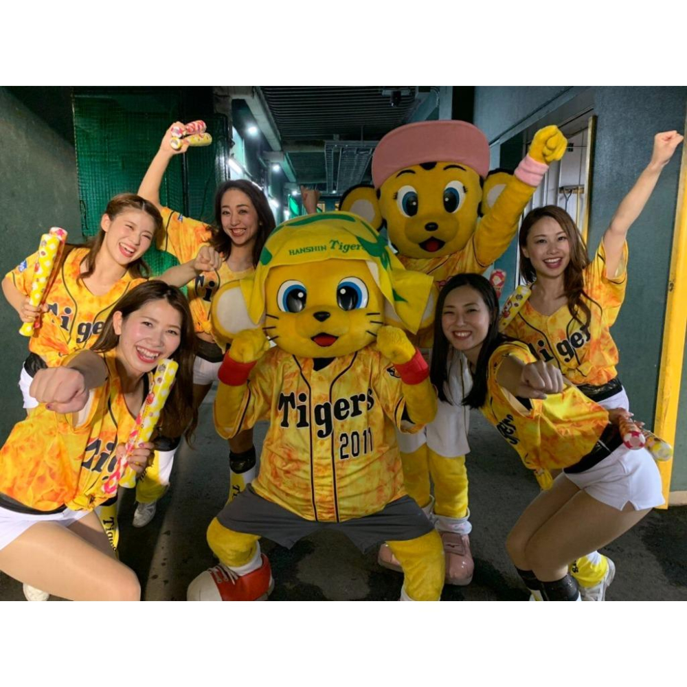 日本職棒 阪神虎 2019 虎之夏 火焰 應援球衣 M (罩衫 日職 NPB 棒球 壘球 棒壘 黃色)-細節圖5