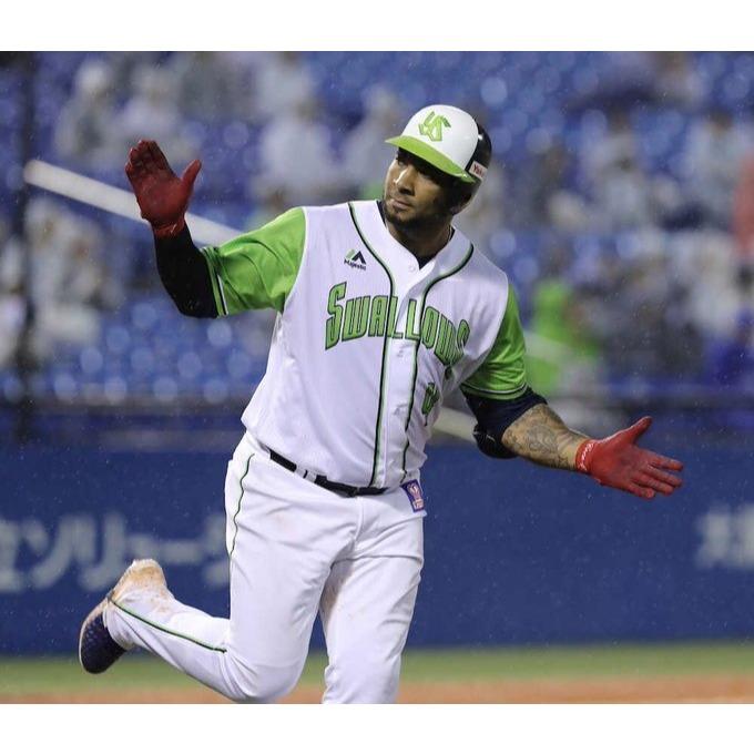 日本職棒 養樂多燕子 2018會員日 CREW DAY 應援球衣 (罩衫 球迷 日職 NPB 東京 棒球 壘球 棒壘)-細節圖2