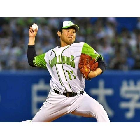 日本職棒 養樂多燕子 2018會員日 CREW DAY 應援球衣 (罩衫 球迷 日職 NPB 東京 棒球 壘球 棒壘)-細節圖3
