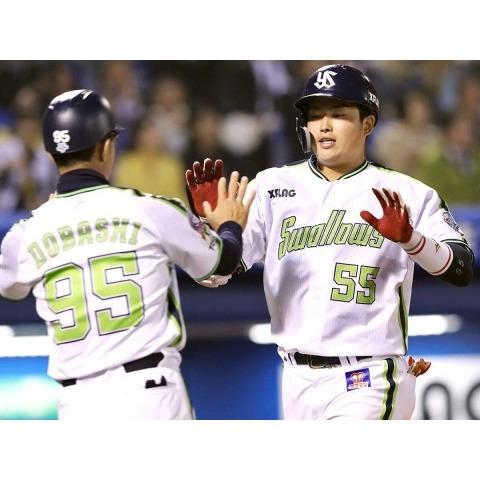 日本職棒 養樂多燕子 2019會員日 CREW DAY 應援球衣 (罩衫 NPB 東京 棒球 壘球 棒壘 小尺寸)-細節圖2