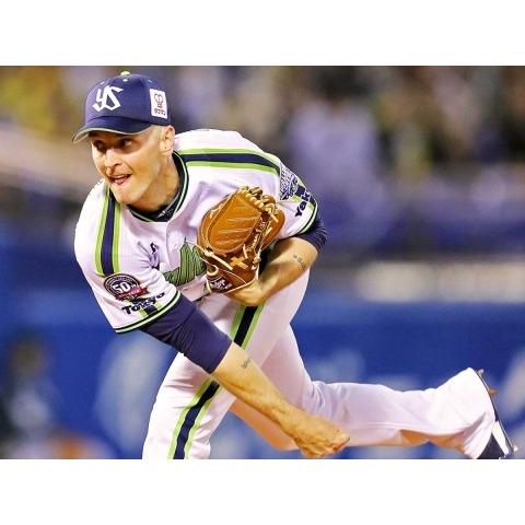 日本職棒 養樂多燕子 2019會員日 CREW DAY 應援球衣 (罩衫 NPB 東京 棒球 壘球 棒壘 小尺寸)-細節圖3