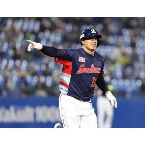 日本職棒 NPB 養樂多燕子 2021 CREW會員限定 應援球衣 M、XL(罩衫 東京 棒球 壘球 棒壘 大尺寸)-細節圖2
