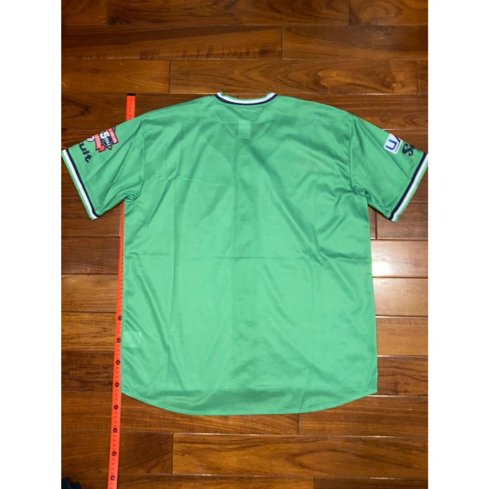 日本職棒 養樂多燕子 2024 東京燕動力 POWER 55周年 應援球衣 L(罩衫 球迷 NPB 棒球 棒壘 燕パワー-細節圖8