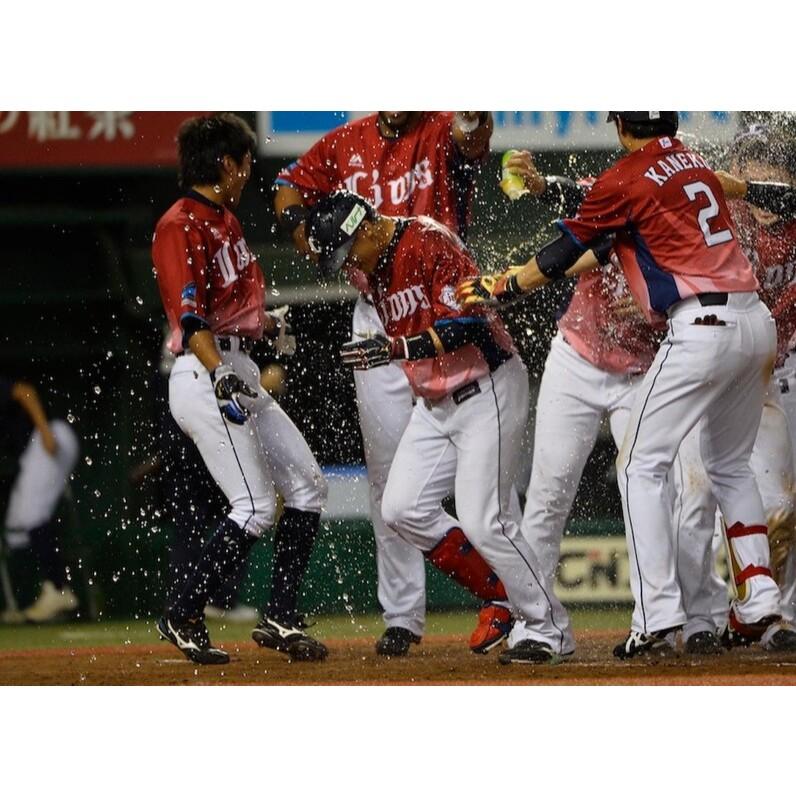 日本職棒 西武獅 2017 炎獅子 主題日 應援球衣 S、L、XL(罩衫 日職 NPB 琦玉 棒球 壘球 棒壘 味全龍)-細節圖3