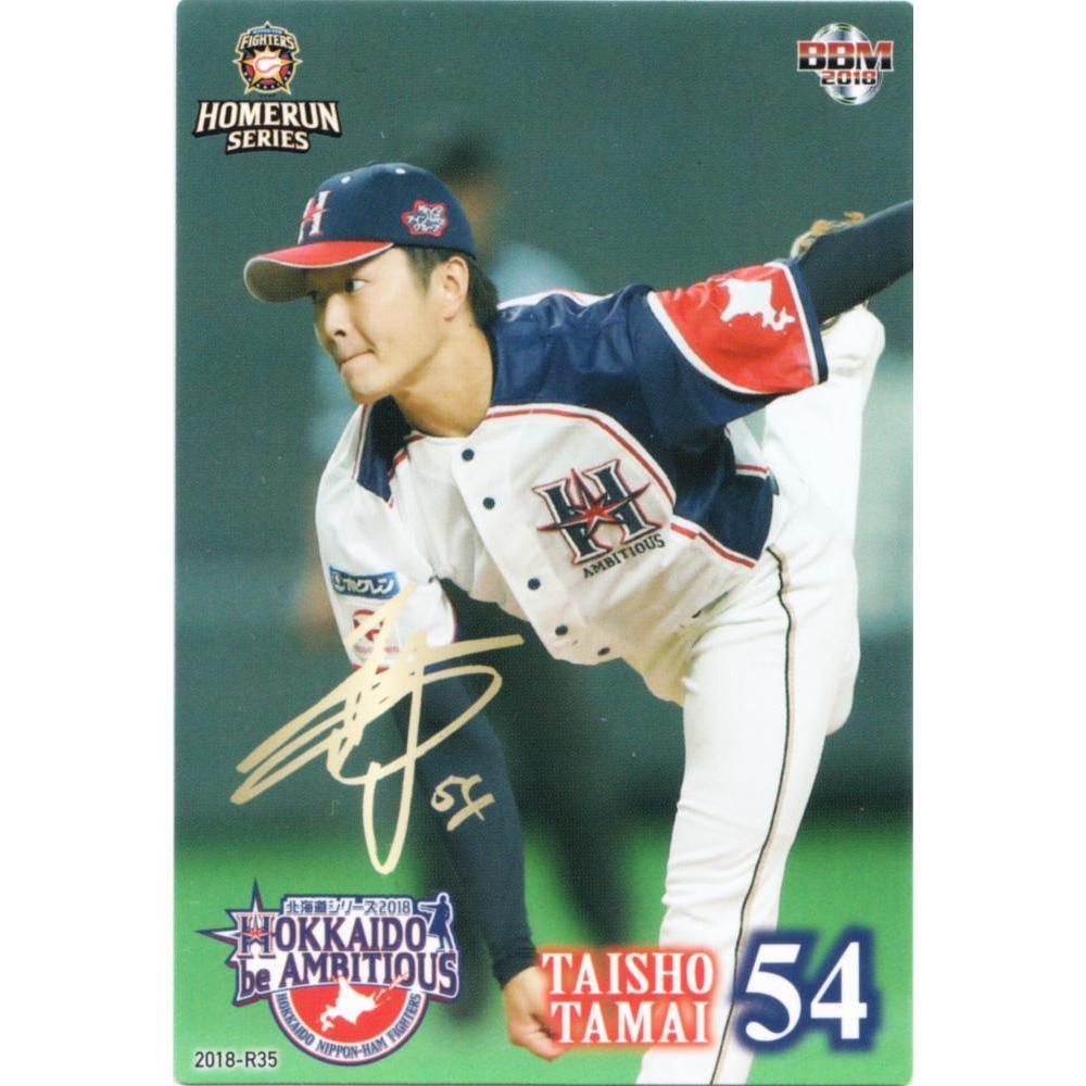 日本職棒 火腿鬥士 2018 壯志雄心 be AMBITIOUS 應援球衣 L(罩衫 日職 NPB 北海道 棒球 棒壘)-細節圖3