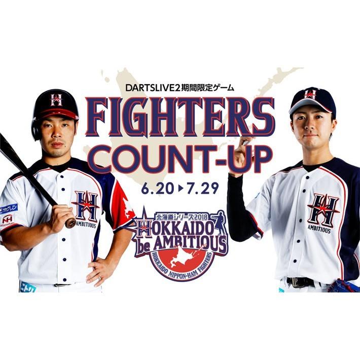 日本職棒 火腿鬥士 2018 壯志雄心 be AMBITIOUS 應援球衣 L(罩衫 日職 NPB 北海道 棒球 棒壘)-細節圖4