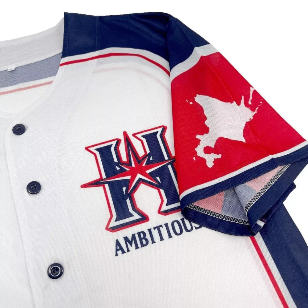 日本職棒 火腿鬥士 2018 壯志雄心 be AMBITIOUS 應援球衣 L(罩衫 日職 NPB 北海道 棒球 棒壘)-細節圖6