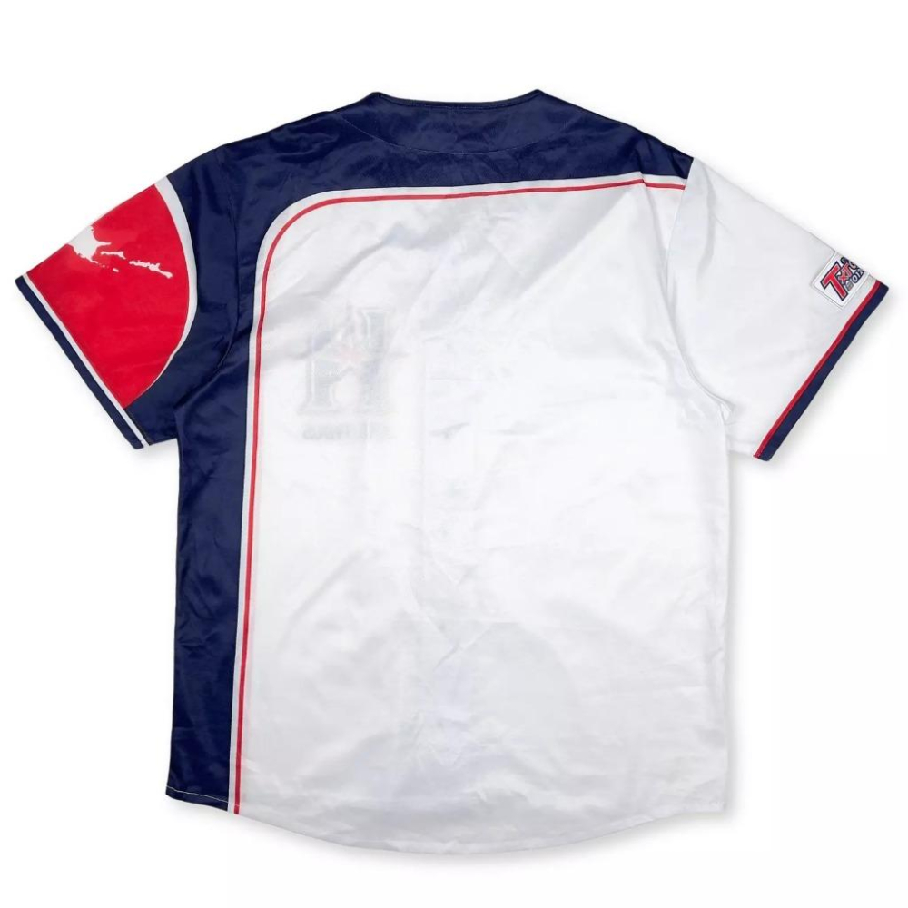 日本職棒 火腿鬥士 2018 壯志雄心 be AMBITIOUS 應援球衣 L(罩衫 日職 NPB 北海道 棒球 棒壘)-細節圖8