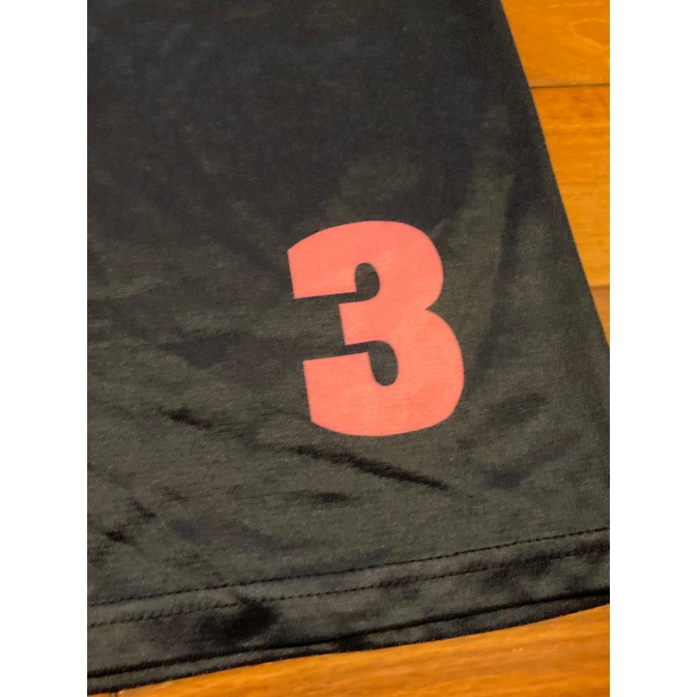 日本職棒 火腿鬥士 2019 田中賢介 最終戰 引退紀念 排汗上衣 L(短T 球衣 NPB 棒球 棒壘 練習衣 北海道)-細節圖6