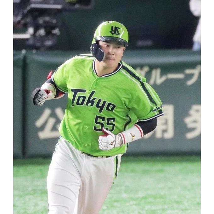 日本職棒 養樂多燕子 2019 東京燕動力 POWER 應援球衣 (罩衫 球迷 日職 NPB 東京 棒球 棒壘 燕パワー-細節圖2
