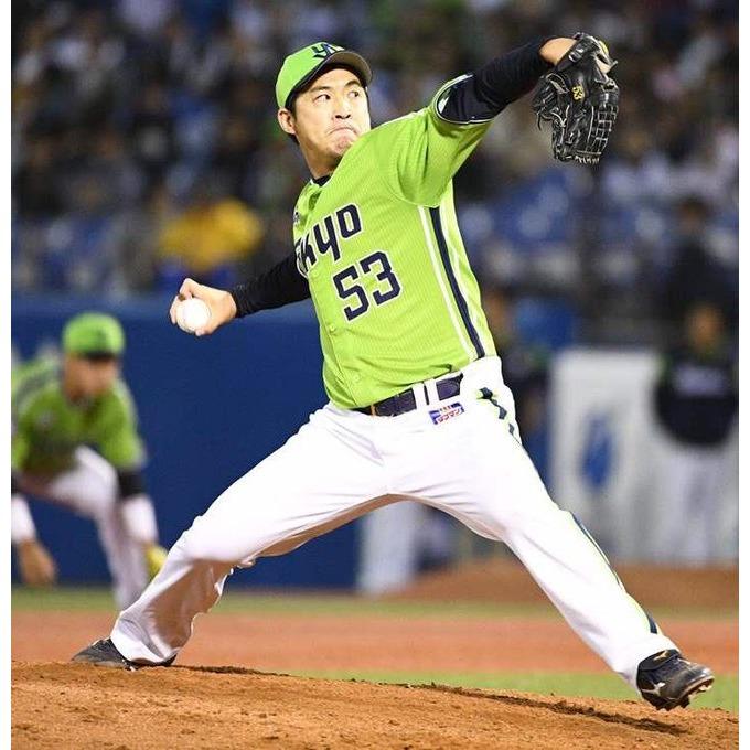 日本職棒 養樂多燕子 2019 東京燕動力 POWER 應援球衣 (罩衫 球迷 日職 NPB 東京 棒球 棒壘 燕パワー-細節圖3