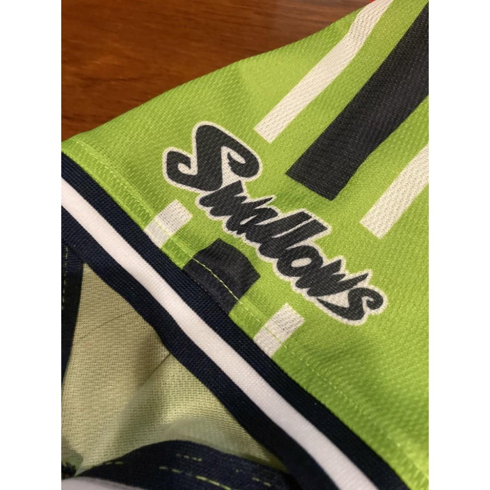 日本職棒 養樂多燕子 2019 東京燕動力 POWER 應援球衣 (罩衫 球迷 日職 NPB 東京 棒球 棒壘 燕パワー-細節圖5