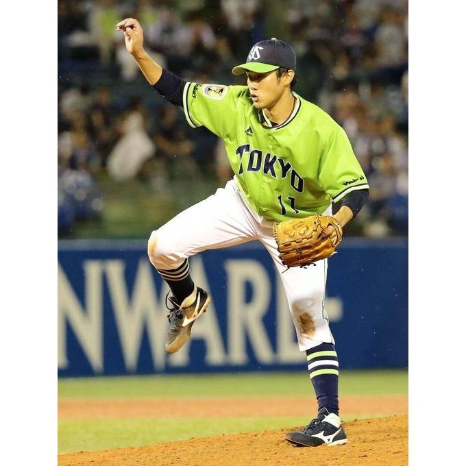 日本職棒 養樂多燕子 2016 東京燕動力 POWER 應援球衣 (罩衫 球迷 日職 NPB 東京 棒球 棒壘 燕パワー-細節圖2