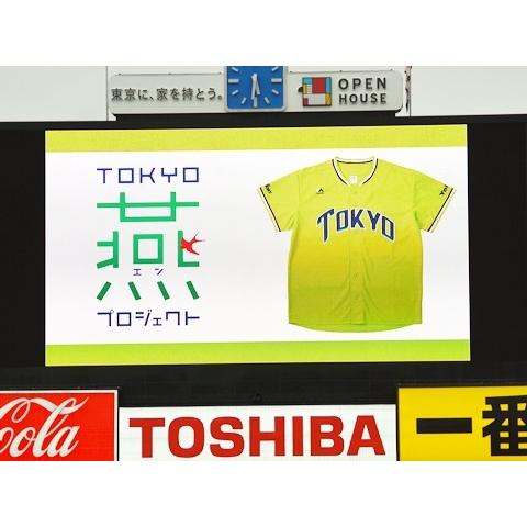 日本職棒 養樂多燕子 2016 東京燕動力 POWER 應援球衣 (罩衫 球迷 日職 NPB 東京 棒球 棒壘 燕パワー-細節圖4