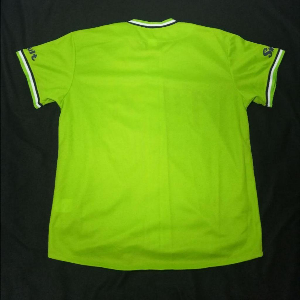 日本職棒 養樂多燕子 2016 東京燕動力 POWER 應援球衣 (罩衫 球迷 日職 NPB 東京 棒球 棒壘 燕パワー-細節圖7