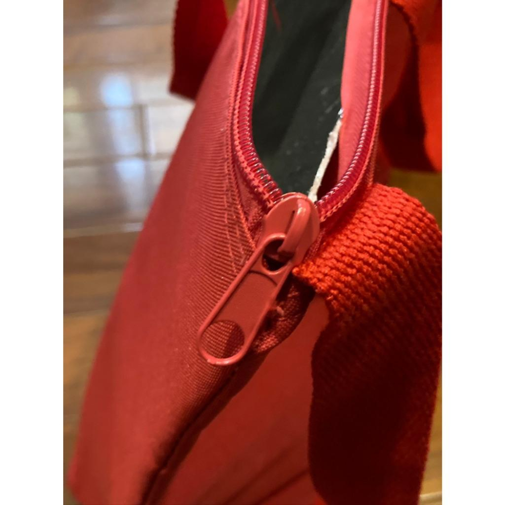 日本職棒 廣島鯉魚 2019 男孩隊徽 手提+側背兩用 保冷袋 (包包 NPB 棒球 棒壘 保冰 單肩 手提包 購物袋)-細節圖7