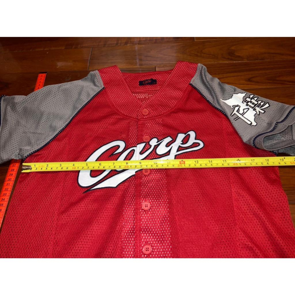 小尺寸 日本職棒 廣島鯉魚隊 電繡 2010 會員限定 紅色 應援球衣(罩衫 日職 NPB 棒球 壘球 棒壘 東洋 刺繡-細節圖7