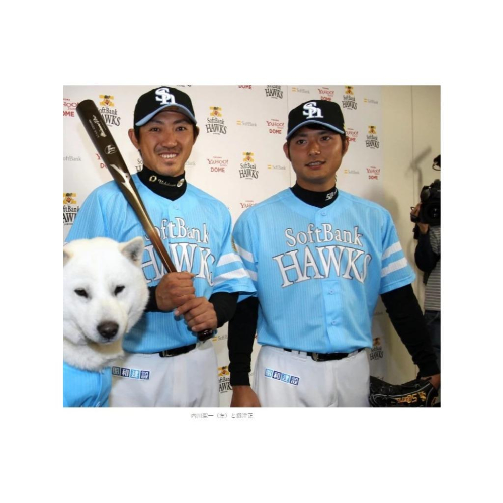 MIZUNO高階版! 日本職棒 軟銀鷹 2011 鷹之祭典 水藍 應援球衣 L (罩衫 日職 NPB 棒球 壘球 棒壘)-細節圖3